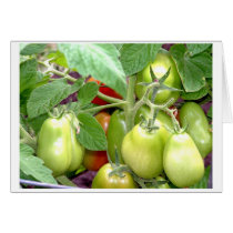 "Those tomatoes...they're so immature!" cards