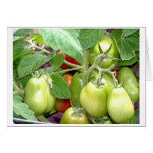 "Those tomatoes...they're so immature!" Greeting Cards