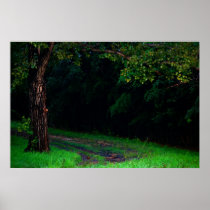 Though I Wander Poster
