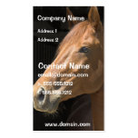 Thoughbred Horse Business Card