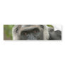 Thoughtful Gorilla