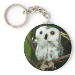 Thoughts Of The North Keychain
