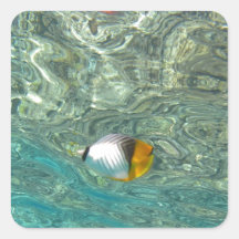 Threadfin Butterflyfish Sticker