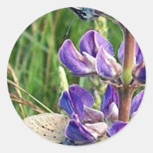 threatened endangered species and fire round sticker