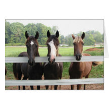 Three Amigas Greeting Cards