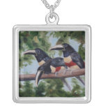 Three Amigo's Toucan Necklace