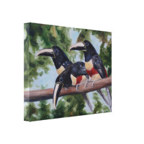 Three Amigo's Toucan Wrapped Canvas Print