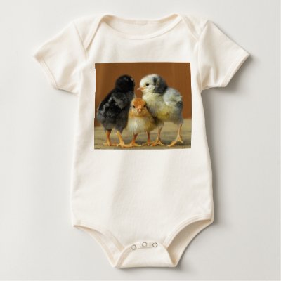 Three Baby Chicken's Children's T-Shirts/Creepers by wildlifehotspots