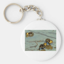 Three Baby Mallards... Key Chains