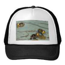 Three Baby Mallards... Trucker Hat