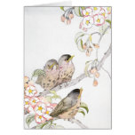 Three Baby Robins in a Cherry Tree Greeting Card