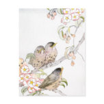 Three Baby Robins in a Cherry Tree Post Cards