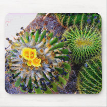 THREE BARREL CACTI IN BLOOM MOUSEPAD