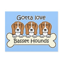 Three Basset Hounds Post Cards