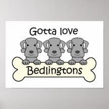 Three Bedlington Terriers Poster