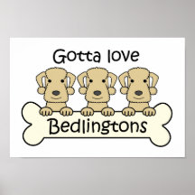 Three Bedlington Terriers Print