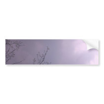 Three Birds Fly So high Bumper Sticker