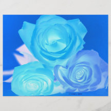 Three blue roses inverted picture flyer design