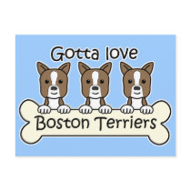Three Boston Terriers Postcards