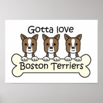 Three Boston Terriers Poster