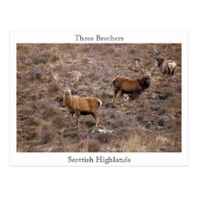Three Brothers, Scottish Highlands Postcards