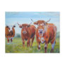 Three  Bulls Painting