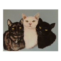 THREE CATS POSTCARDS