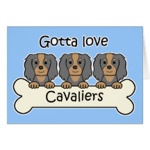 Three Cavalier King Charles Spaniels Greeting Cards