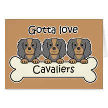 Three Cavalier King Charles Spaniels Greeting Cards