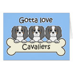 Three Cavalier King Charles Spaniels Cards