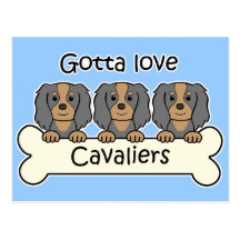 Three Cavalier King Charles Spaniels Postcards