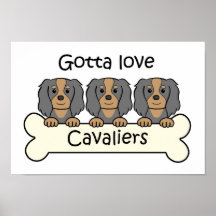 Three Cavalier King Charles Spaniels Poster