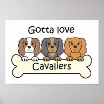Three Cavalier King Charles Spaniels