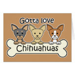 Three Chihuahuas