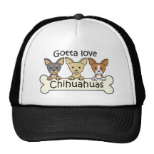 Three Chihuahuas Hats