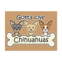 Three Chihuahuas