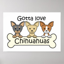 Three Chihuahuas