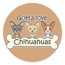 Three Chihuahuas