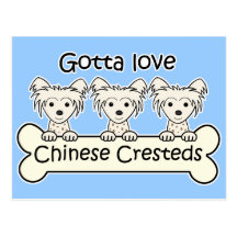 Three Chinese Cresteds Post Card
