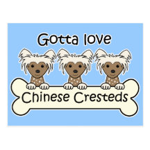 Three Chinese Cresteds Post Card