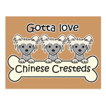 Three Chinese Cresteds Postcard