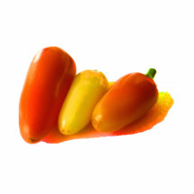 Three Cone White Habanero Peppers Orange Yellow Photo Cutout