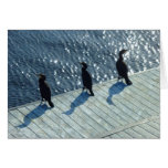 Three Cormorants Greeting Card