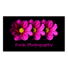 Three Cosmos Business Card