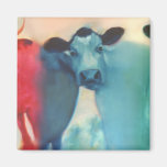 Three Cow Magnet
