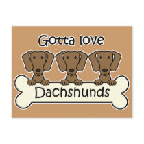 Three Dachshunds Postcards