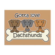 Three Dachshunds