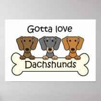 Three Dachshunds