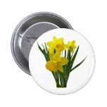 Three Daffodils Standing Guard Pin