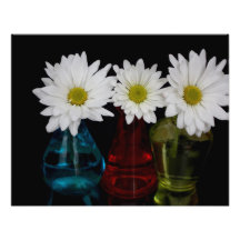 Three Daisies In Cute Jars Photo Print